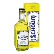 SOLUZIONE SCHOUM FORTE orale soluz 250 g