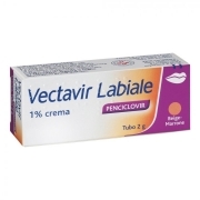 VECTAVIR LABIALE crema derm 2 g