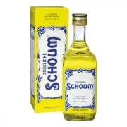 SOLUZIONE SCHOUM orale soluz 550 g